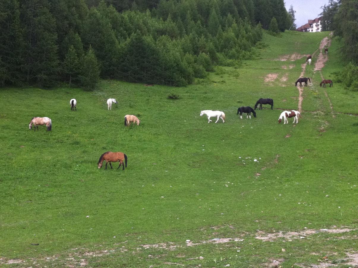 Hotel La Portette Les Orres Dış mekan fotoğraf